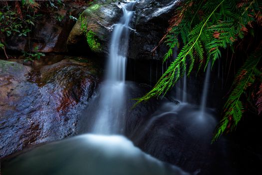 Water flowing over rocks past lush ferns along the Leura Cascades in Blue Mountains Australia