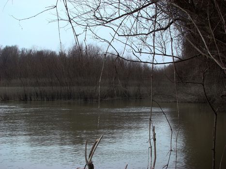 The Danube's arms and islands are awaiting the spring.
Trees, shrubs, herbs, paths, birds, snow and ice are worth touching, seeing, sniffing.
You will surely return on a beautiful day through these little places.