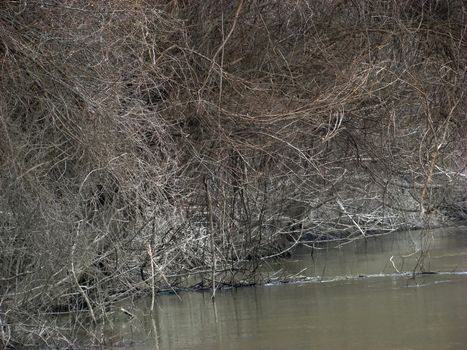 The Danube's arms and islands are awaiting the spring.
Trees, shrubs, herbs, paths, birds, snow and ice are worth touching, seeing, sniffing.
You will surely return on a beautiful day through these little places.