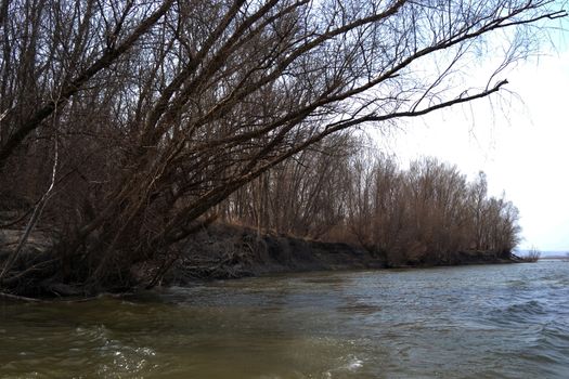 The Danube's arms and islands are awaiting the spring.
Trees, shrubs, herbs, paths, birds, snow and ice are worth touching, seeing, sniffing.
You will surely return on a beautiful day through these little places.