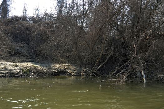 The Danube's arms and islands are awaiting the spring.
Trees, shrubs, herbs, paths, birds, snow and ice are worth touching, seeing, sniffing.
You will surely return on a beautiful day through these little places.