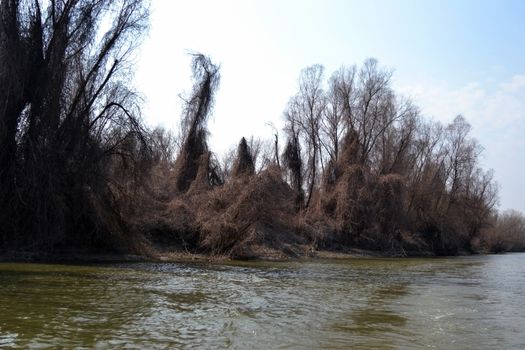 The Danube's arms and islands are awaiting the spring.
Trees, shrubs, herbs, paths, birds, snow and ice are worth touching, seeing, sniffing.
You will surely return on a beautiful day through these little places.