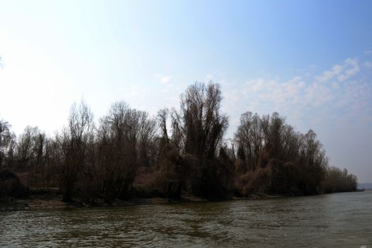 The Danube's arms and islands are awaiting the spring.
Trees, shrubs, herbs, paths, birds, snow and ice are worth touching, seeing, sniffing.
You will surely return on a beautiful day through these little places.