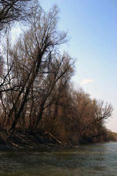 The Danube's arms and islands are awaiting the spring.
Trees, shrubs, herbs, paths, birds, snow and ice are worth touching, seeing, sniffing.
You will surely return on a beautiful day through these little places.