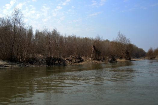 The Danube's arms and islands are awaiting the spring.
Trees, shrubs, herbs, paths, birds, snow and ice are worth touching, seeing, sniffing.
You will surely return on a beautiful day through these little places.
