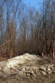 The Danube's arms and islands are awaiting the spring.
Trees, shrubs, herbs, paths, birds, snow and ice are worth touching, seeing, sniffing.
You will surely return on a beautiful day through these little places.