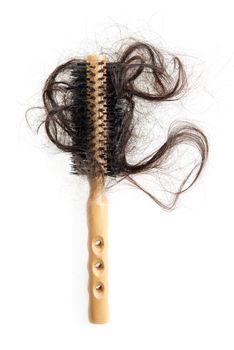 Hairloss problem. Flat lay brush with lost hair on it, isolated on white background.