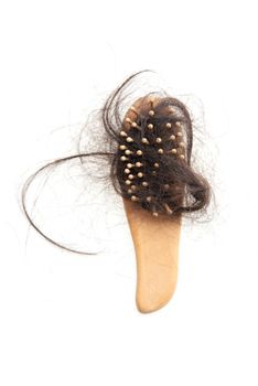 Hairloss problem. Flat lay comb with lost hair on it, isolated on white background.