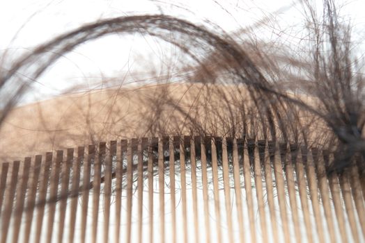 Hairloss problem. Comb with lost hair on it, isolated on white background.