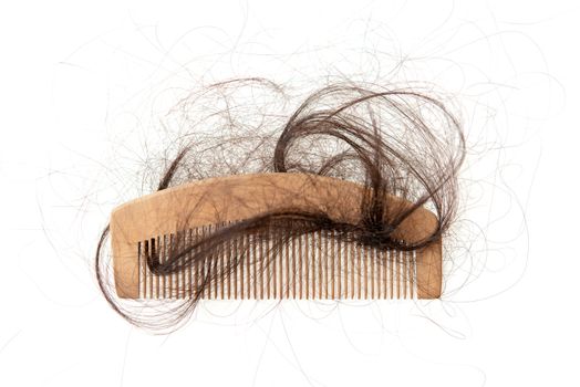 Hairloss problem. Flat lay comb with lost hair on it, isolated on white background.