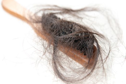Hairloss problem. Brush with lost hair on it, isolated on white background.