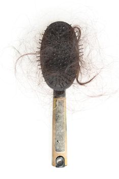 Flat lay used dirty hairbrush with lost hair on it, isolated on white background.