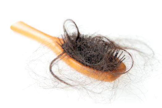 Hairloss problem. Hairbrush with lost hair on it, isolated on white background.