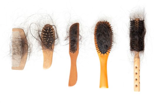 Collection set of brushes with lost hair on it, isolated on white background.