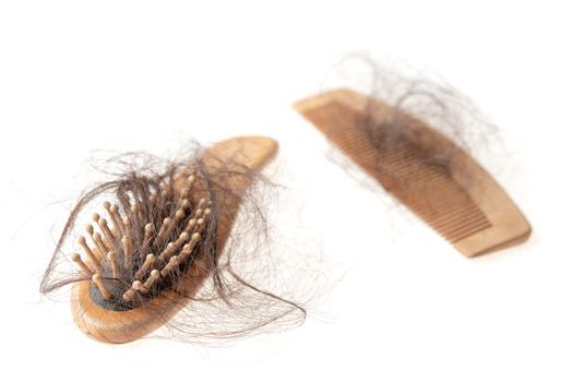 Hairloss problem. Hairbrushes with lost hair on it, isolated on white background.