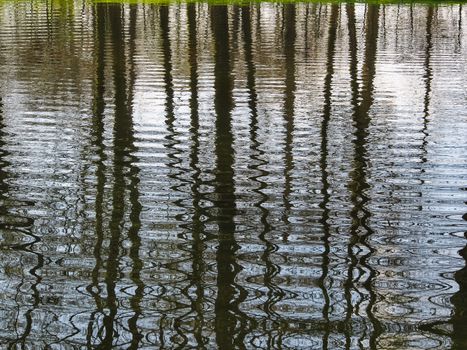 Abstract background of trees mirrored on rippled water surface