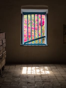 View of flowers, Bougainvilleas, through barred blue window in dark room.