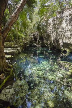 Cenote Azul in Mexico #2