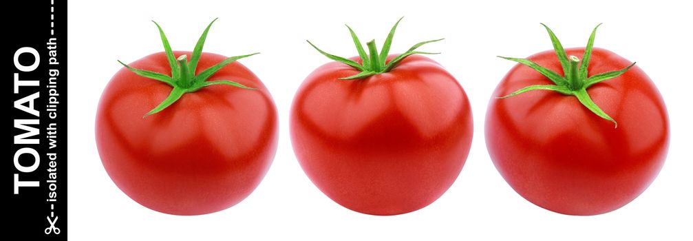 One whole tomato isolated isolated on white background with clipping path