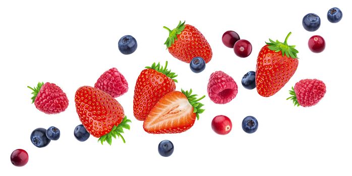 Flying berries isolated on white background with clipping path, different falling wild berry fruits mix, collection