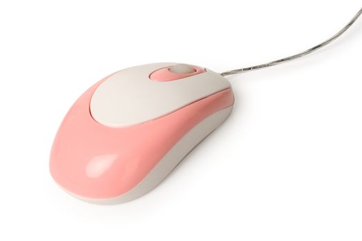 Computer mouse isolated on white background, clipping path.