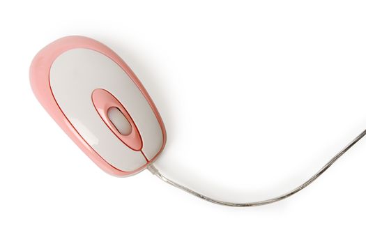 Top view of computer mouse isolated on white background, clipping path.