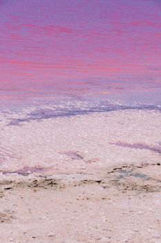 Salt crystals and pink water at the beach of the Pink Lake next to Gregory in West Australia