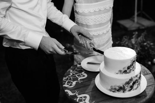 wedding cake at the wedding of the newlyweds