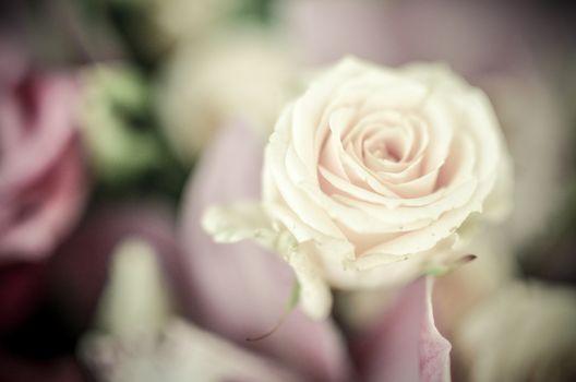 Beautiful pink roses in soft spring flower bouquet in blured background