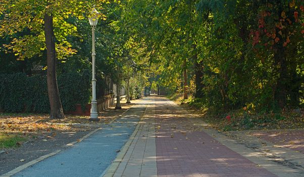 Bricks and asphalt pathway in Palic park, Serbia