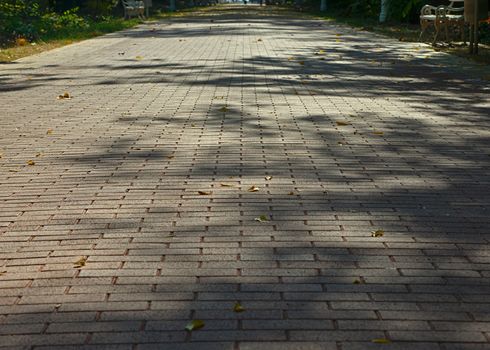 Bricks pathway in Palic park, Serbia