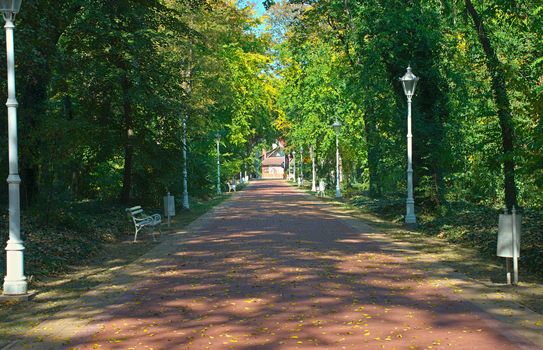 Red bricks pathway in Palic park, Serbia