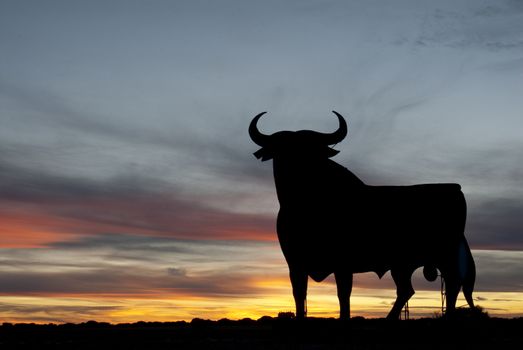Osborne bull at sunset, Spain
