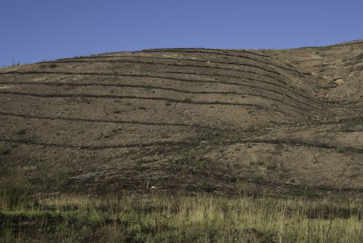 Reforestation terraces after the fire, Guadalajara