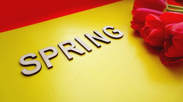 Spring concept. Bouquet of tulips on colorful background. Mothers Day or 8th of March festive theme. Close-up with text Spring. Spring sale banner