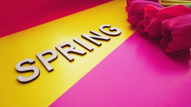 Spring concept. Bouquet of tulips on colorful background. Mothers Day or 8th of March festive theme. Close-up with text Spring. Spring sale banner