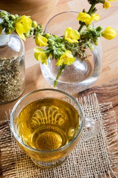 A cup of mullein (verbascum) tea with fresh blooming mullein