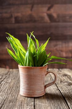 Fresh young wild garlic leaves in a cup