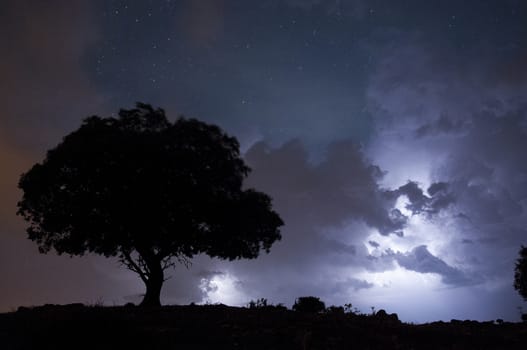 Night landscape, oak, stars, clouds, silhouette