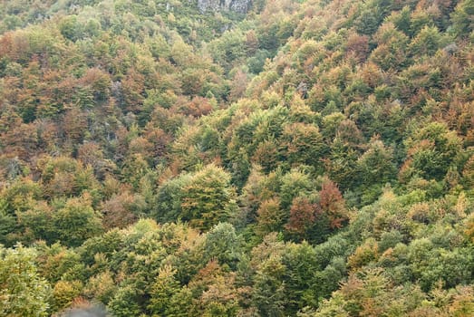 Autumn landscape, natural park Ubiñas table, fog, Asturias, Spain