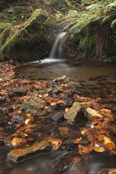 Waterfall with leaves, Moss, Autumn colors