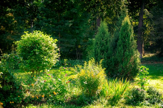 The park with green plants, trees and bushes.