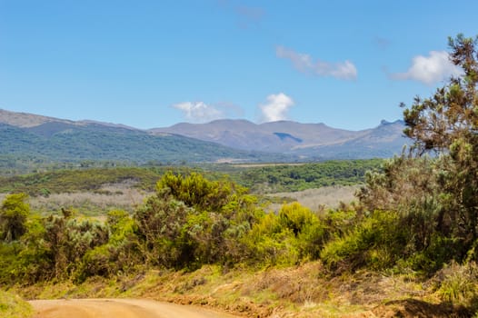 View of the forest and the mountains of Aberdare Park in central Kenya