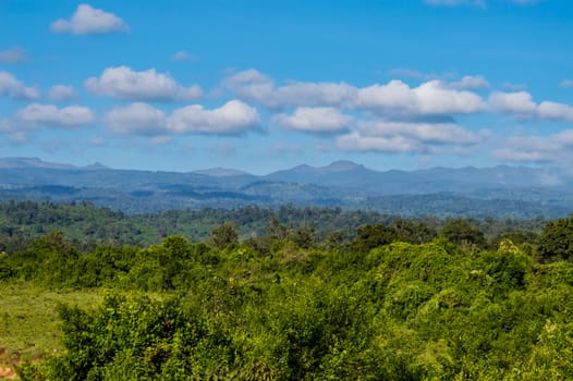 View of the forest and the mountains of Aberdare Park in central Kenya