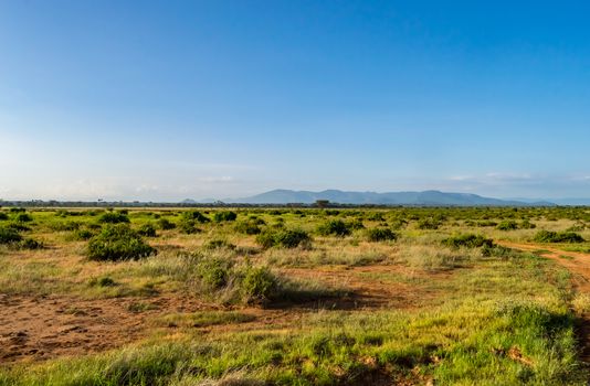 View of the trails and savannah of Samburu Park in central Kenya
