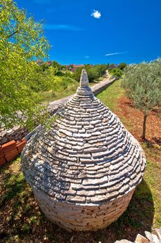 Olive tree field and traditional Istrian Kazun stone hut view, Istria region of Croatia