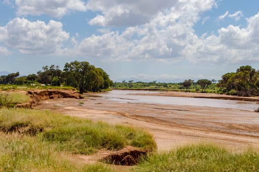View of the Ewaso Ng'iro River in the savannah of Samburu Park in central Kenya