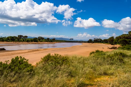 View of the Ewaso Ng'iro River in the savannah of Samburu Park in central Kenya