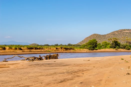 View of the Ewaso Ng'iro River in the savannah of Samburu Park in central Kenya