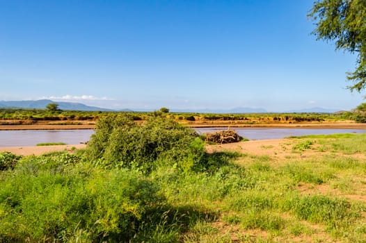 View of the Ewaso Ng'iro River in the savannah of Samburu Park in central Kenya